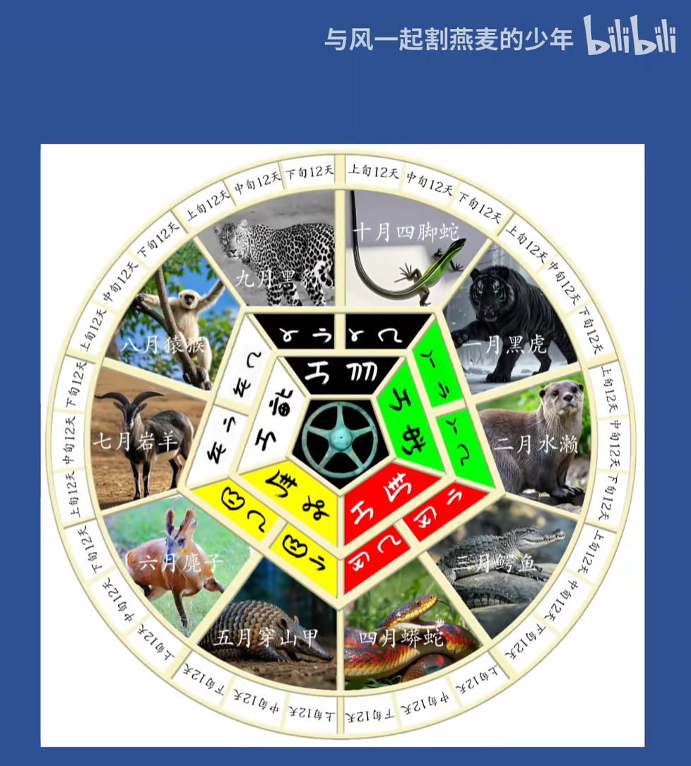 image-20250611233939962.png